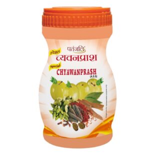 Patanjali Chywanprash 500gm